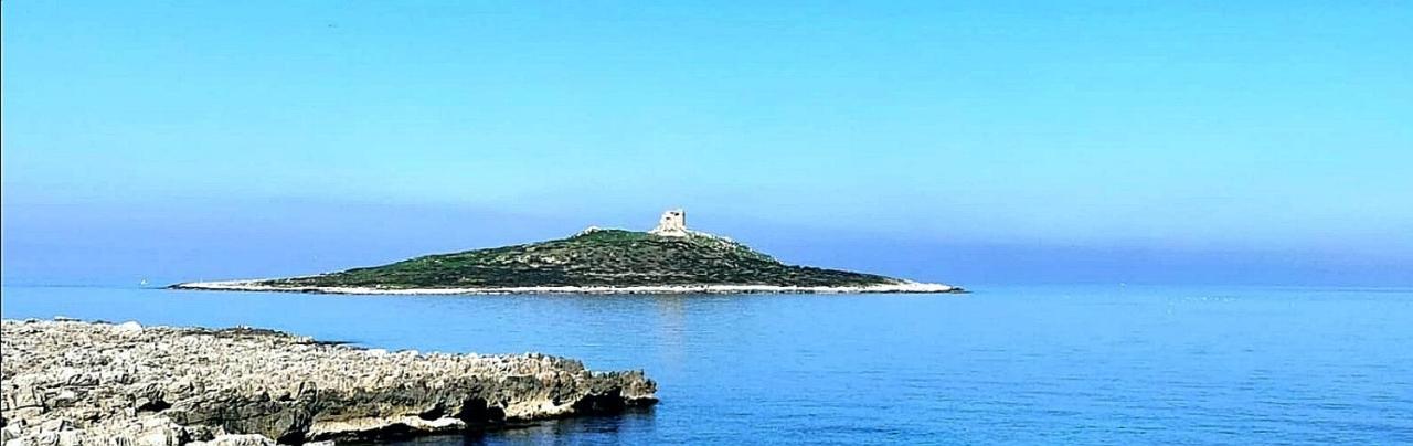Bed and Breakfast La Terrazza Sul Golfo Изола-делле-Феммине Экстерьер фото